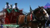 2007 Red Bull U.S. Grand Prix - Budweiser Clydesdales